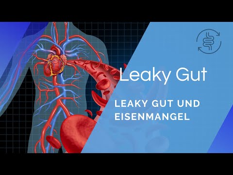 Leaky Gut und Eisenmangel | Ursachen und Heilung der Anämie | Online-Kurs | André Blank – Vivoterra®