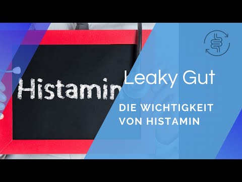 Die Wichtigkeit von Histamin | Darmgesundheit, Leaky Gut & Histaminmangel | André Blank – Vivoterra®