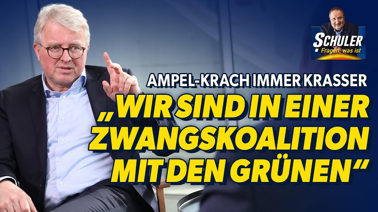 „Zwangskoalition!“ Ampel-Krach immer heftiger – FDP-Politiker Schäffler packt aus