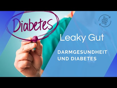 Darmgesundheit & Diabetes | Leaky Gut & die erschöpfte Bauchspeicheldrüse | André Blank – Vivoterra®