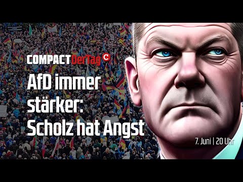 AfD immer stärker: Scholz hat Angst