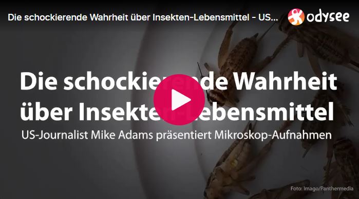 Die schockierende Wahrheit über Insekten-Lebensmittel – US-Journalist Mike Adams präsentiert Mikroskop-Aufnahmen