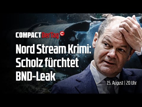 Nord Stream Krimi: Scholz fürchtet BND-Leak💥