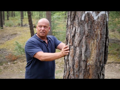 Glück & Zufriedenheit: So kommst du aus deinem Tief!