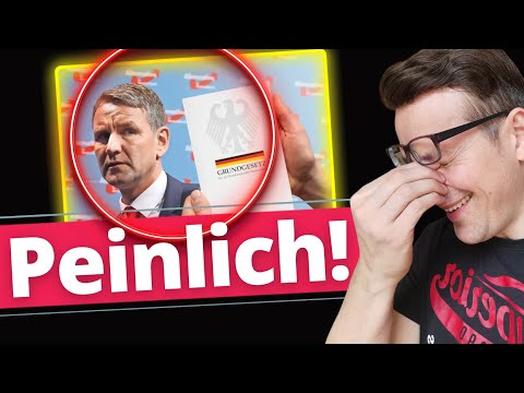 AfD Verbot wird KRACHEND scheitern!