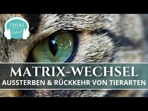 Matrixwechsel: Aussterben und Rückkehr von Tierarten | Podcast #108