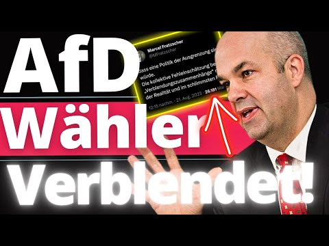 Dreist: Fratzscher beleidigt AfD Wähler in Studie!