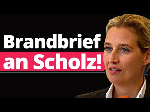 Alice Weidel rechnet mit Ampel ab!