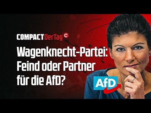 Wagenknecht-Partei: Feind oder Partner für die AfD?💥