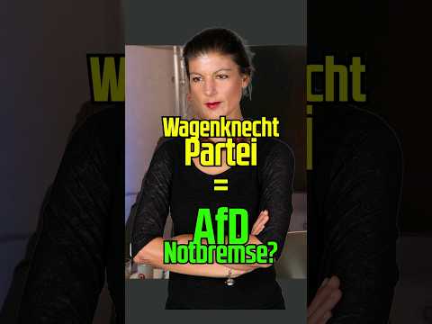 Wagenknecht Partei als AfD Notbremse #afd #wagenknecht #sahrawagenknecht #wagenknechtpartei