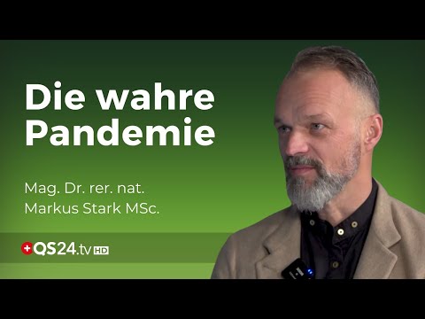 Western Lifestyle: Insulinresistenz & Fettleber | Mag. Dr. rer. nat. Markus Stark MSc. | QS24