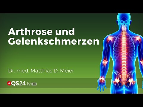 Autonomes Nervensystem: Verursacher von Schmerzen aber auch Heiler | Dr. med. M. D. Meier | QS24