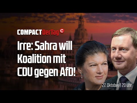 Irre: Sahra will Koalition mit CDU gegen AfD💥