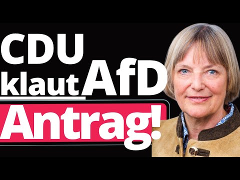 Gerrit Huy (AfD) schockiert CDU mit Wahrheit! (4 Minuten reichen)