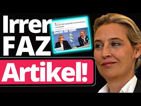 Medien: Vorwürfe gegen AfD IMMER haarsträubender!