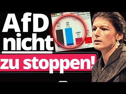 Eilmeldung: AfD Platz 1 in Sachsen-Anhalt! Wagenknecht ohne Chance!