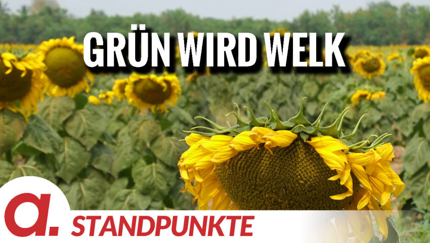 Grün wird welk | Von Rüdiger Rauls