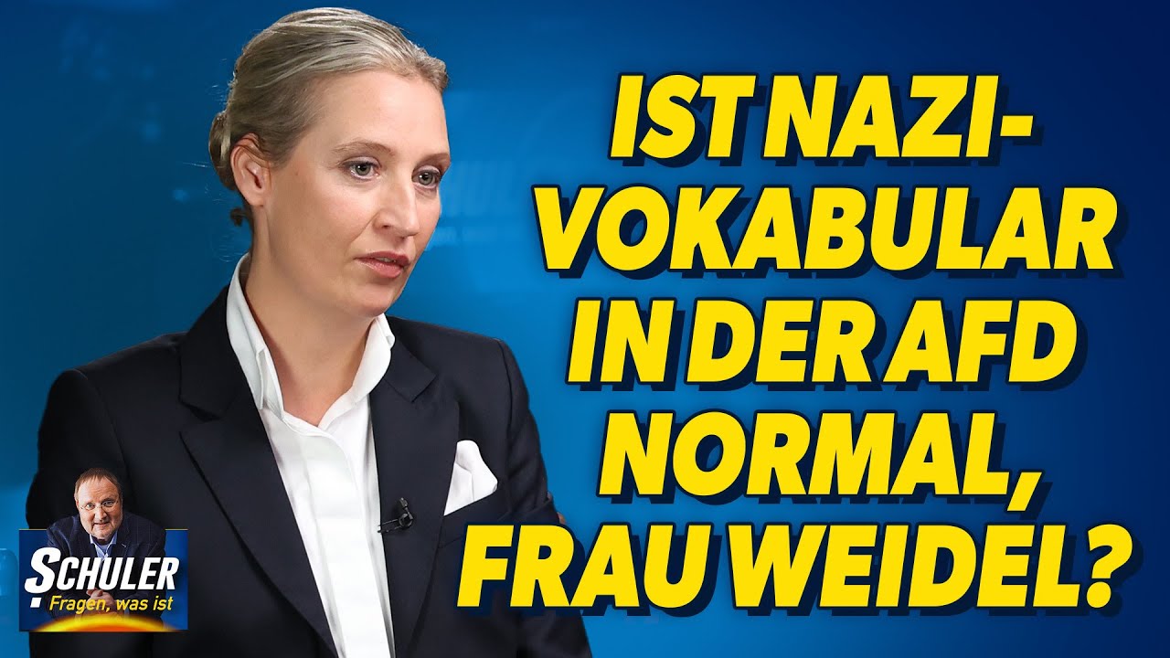 Alice Weidel: Deutschland retten wollen und in der Schweiz leben?!