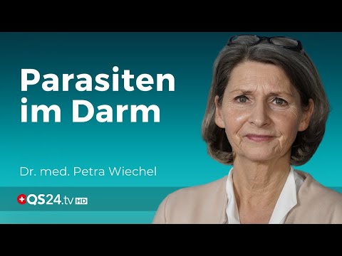 Seilwurm: Fast alle Menschen betroffen? | Dr. med. Petra Wiechel | Visite | QS24