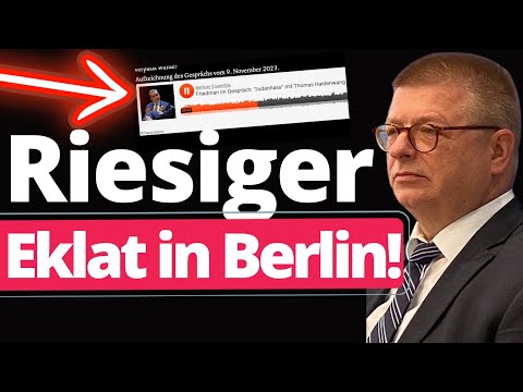 Haldenwang dreht wegen AfD endgültig durch!