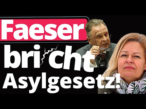 Oberster Verfassungsrichter a.D zerstört Nancy Faeser komplett!