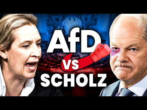 Eskalation im Bundestag: AfD zerlegt Scholz!