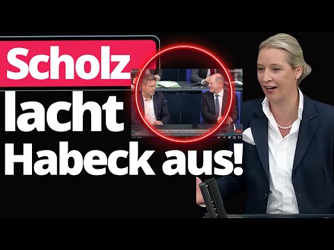 Alice Weidel bringt Bundestag zum toben!