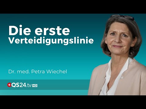 Unser Immunsystem verstehen: Die Akteure | Teil 2.1 | Dr. med. Petra Wiechel | Visite | QS24