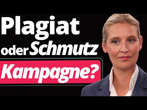Süddeutsche erhebt massive Vorwürfe gegen Alice Weidel!