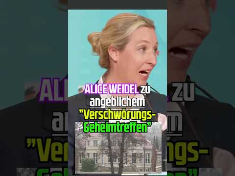 Alice Weidel kommentiert angebliches Geheimtreffen in Potsdam❗️🚨🔥 #alliceweidel #correctiv
