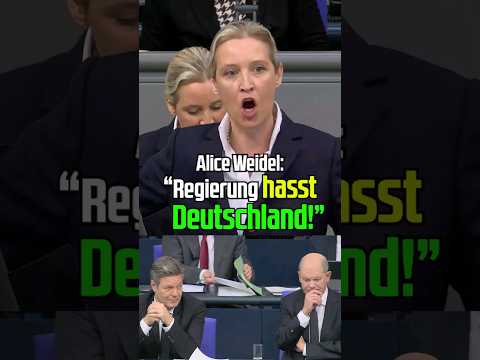 “Diese Regierung hasst Deutschland!” #aliceweidel