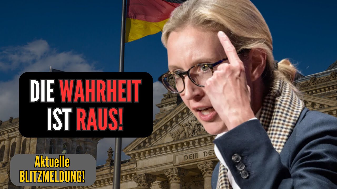 🚨SKANDAL!🚨BESTE REDE von ALICE WEIDEL 2024 😱 | Afd KÄMPFT für die BÜRGER 😨