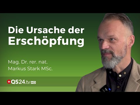 Nebennierenschwäche – grundlos energielos gibt es nicht | Dr. rer. nat. Markus Stark MSc. | QS24