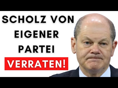 Unglaublich: Kanzler-SPD stimmt in EU-Parlament FÜR Taurus-Lieferung!