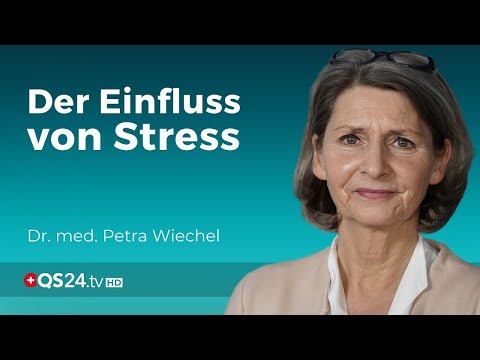 Unser Immunsystem in Gefahr: Der Einfluss von Stress | Teil 4.1 | Dr. med. Petra Wiechel | QS24