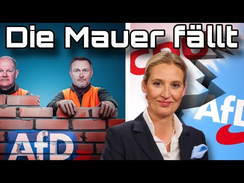 LION Media: Die Mauer fällt: CDU kooperiert mit der AfD