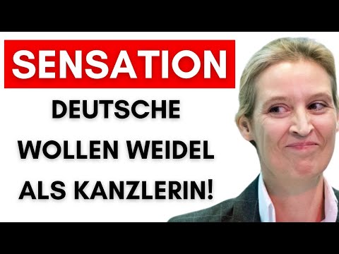Kanzler-Direktwahl: Weidel DEUTLICH vor Scholz & Habeck!