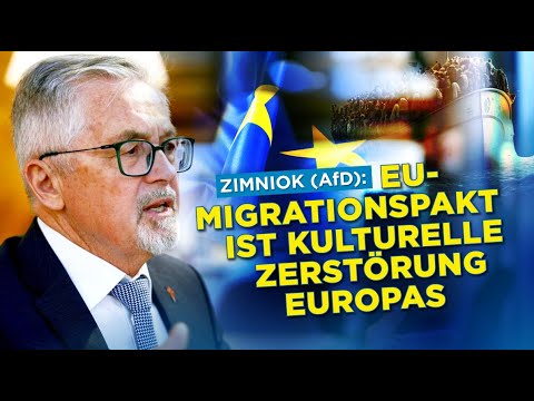 Remigrationsbefürworter Zimniok (AfD): „EU-Migrationspakt kulturelle Zerstörung Europas“