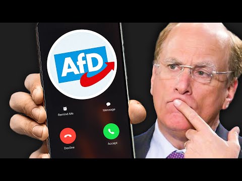 AfD enthüllt den geheimen Plan! (ohne Gnade)