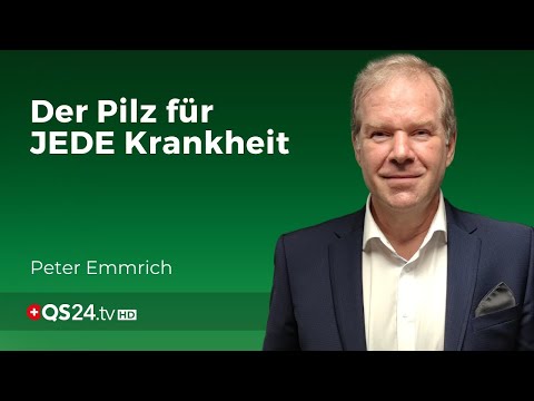 Reishi: Der Pilz des ewigen Lebens | Facharzt Peter Emmrich | Naturmedizin | QS24