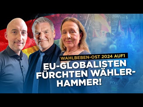 Die EU-Globalisten fürchten den Wähler-Hammer!