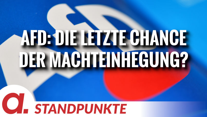 AfD: Die letzte Chance der Machteinhegung? | Von Tom J. Wellbrock