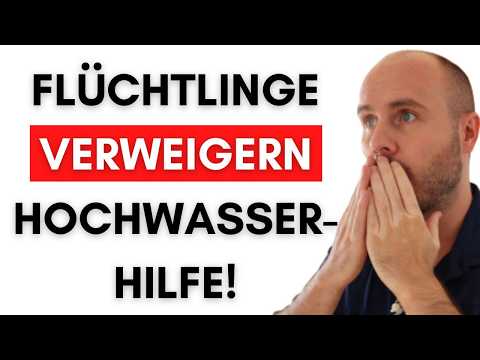 STRAFE: Landrat kürzt Asyl-Geld – Grüne Stink-Sauer!