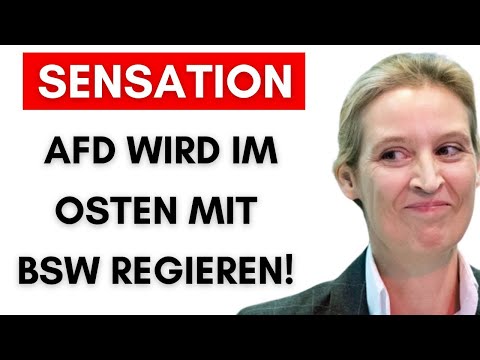 CDU nennt BSW „rechtsextrem“ – Absage für Regierung! Nur AfD bleibt übrig!