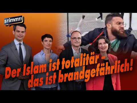 Stimmt! – Messer-Terror, Verbrenner-Aus, Ampel-Unfug | Mit Ploß, Petry, Mai, Heinisch