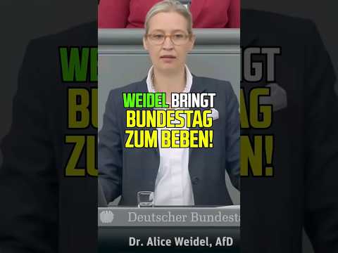 Der Bundestag bebt! #aliceweidel