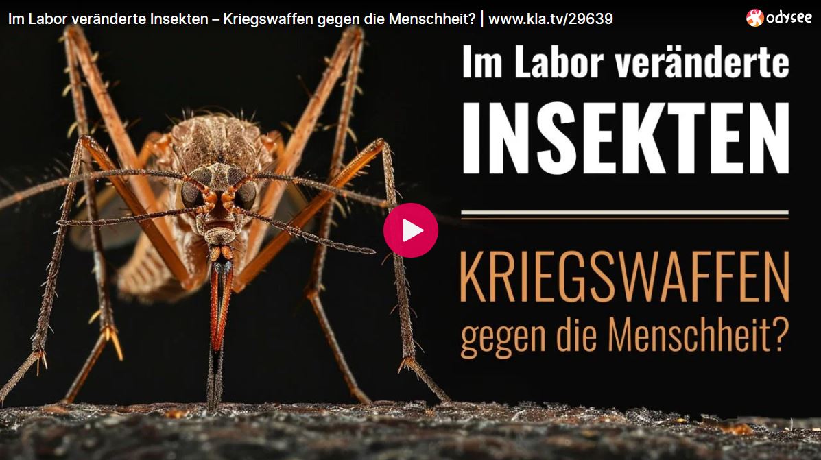 Im Labor veränderte Insekten – Kriegswaffen gegen die Menschheit?