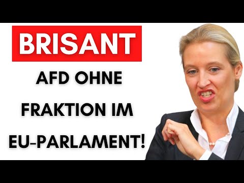 AfD steht OHNE Fraktion da. DAS sind die wahren Gründe!