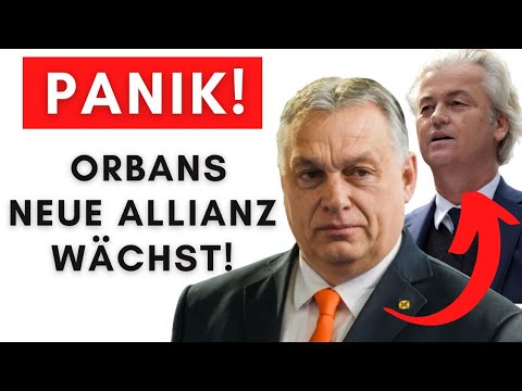 Europa in Panik: Auch Hollands tritt Orbans Bündnis bei!