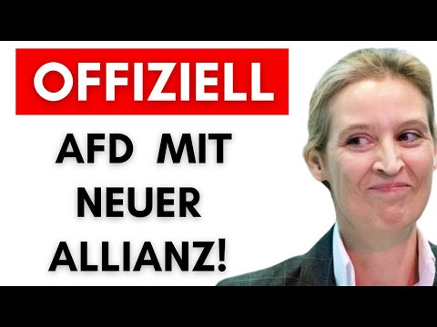 AfD gründet eigene Fraktion in der EU – Überraschung bei Maximilian Krah